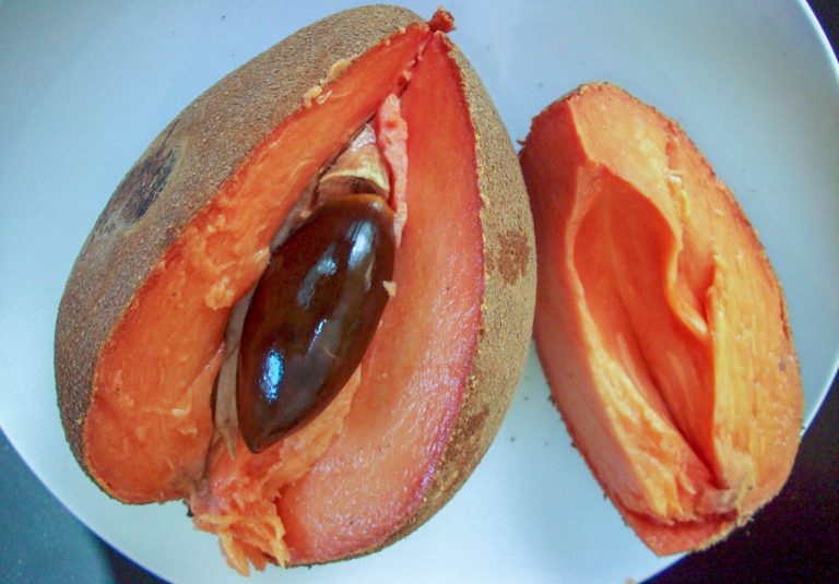 Special Tomato-based Pasta Sauce with Mamey Sapote