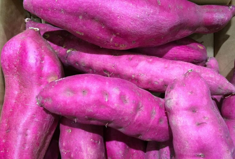 Winter Dishes for the Tropics