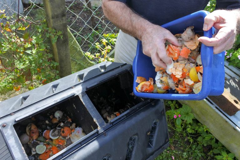 Best Ways to Make Compost in the Tropics