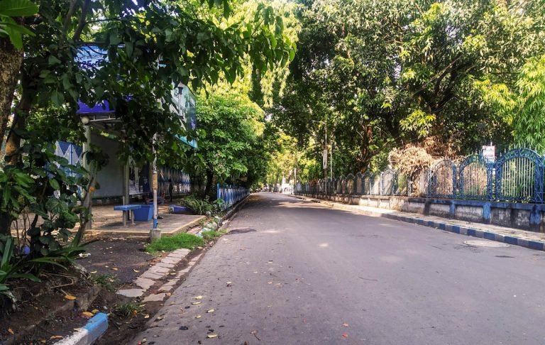 street-trees-tropical-city