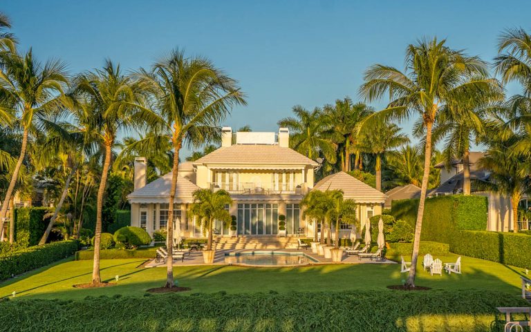tropical-garden-feature-palms