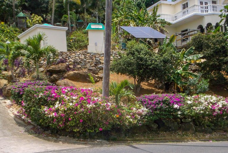 tropical-garden-on-slope