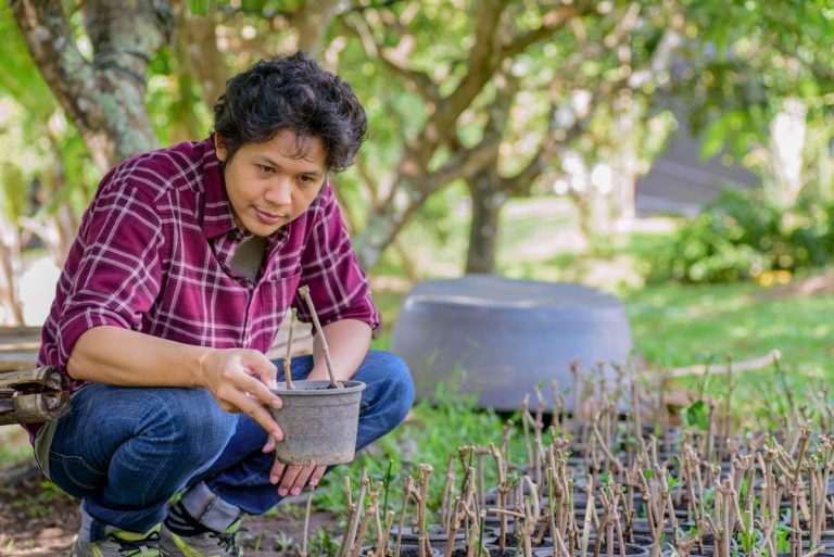tropical-gardening-propagation-green-thumb