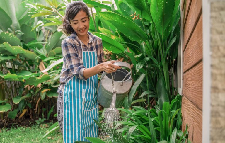All You Need to Know About Plant Foods