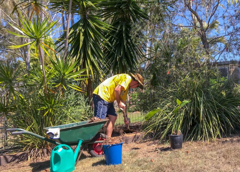 Mulching: The Way to Achieve a Lush Tropical Garden