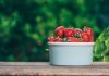 How to Grow Strawberries in the Tropics strawberry-growing-harvested-fruit