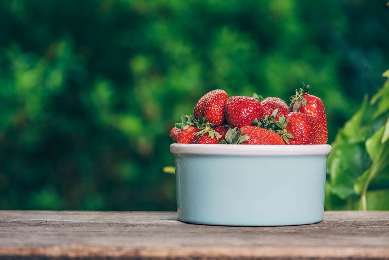 How to Grow Strawberries in the Tropics