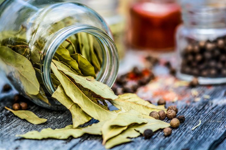 Kitchen Herbs & Spices for Tropical Dishes