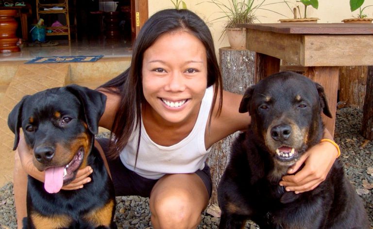 Keeping Dogs in the Tropics: What to Know