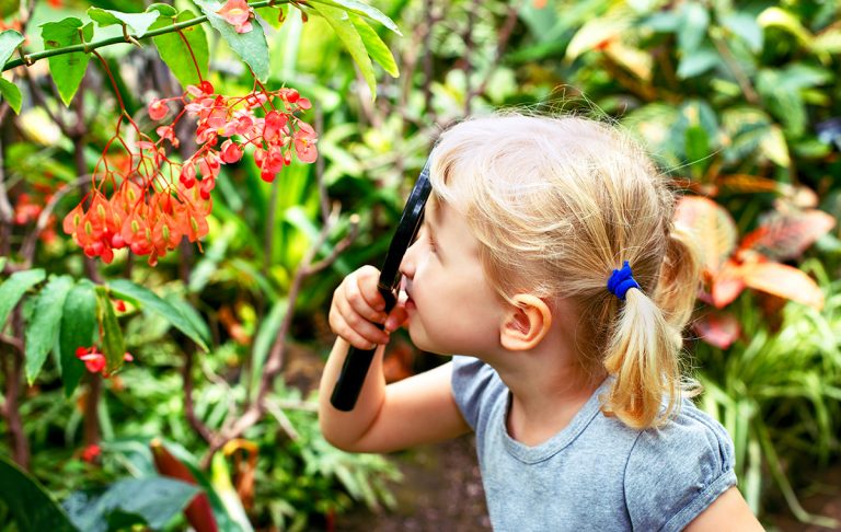 Young girl looking at begonia flowers through magnifying glass