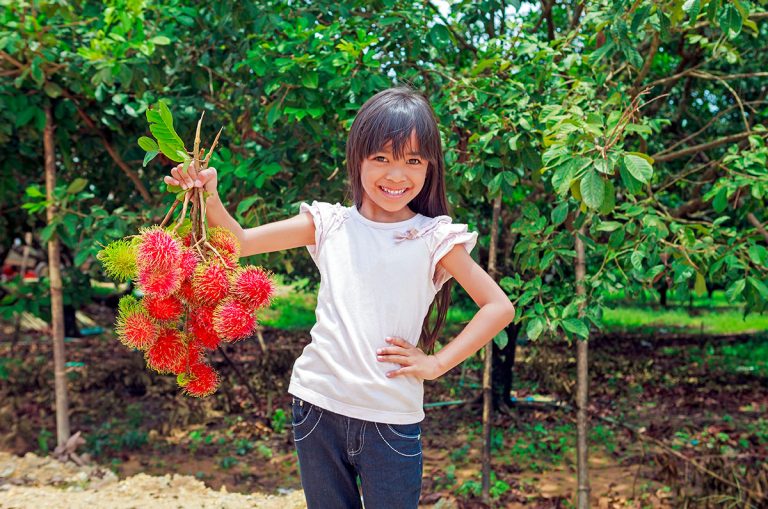 Landscaping the Tropical Garden with Fruit Trees