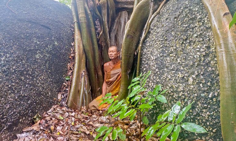Why a Thai Monk is Living a Hermit Life in Nature