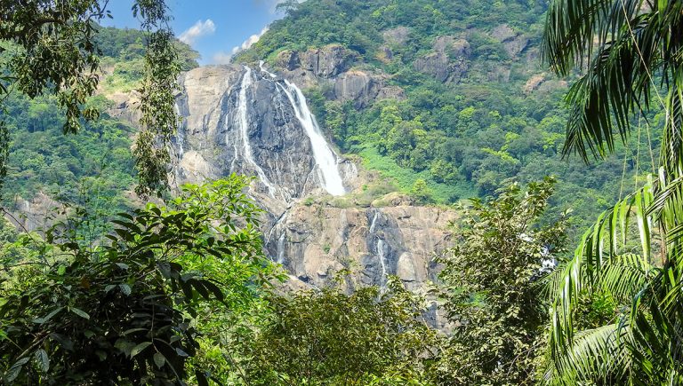 Distant view of Dudhsagar Waterfall, India, viewed through tropical vegetation.