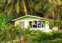 8 Tips for Buying Island Homes in the Tropics Wooden house painted lime green and pastel yellow surrounded by tropical vegetation.