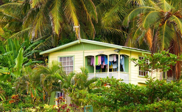 Wooden house painted lime green and pastel yellow surrounded by tropical vegetation.