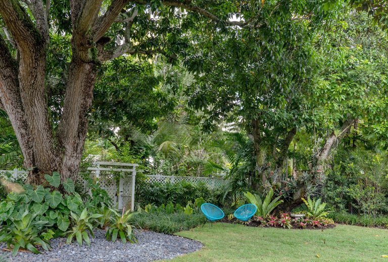 Transforming a Suburban Garden into a Tropical Sanctuary